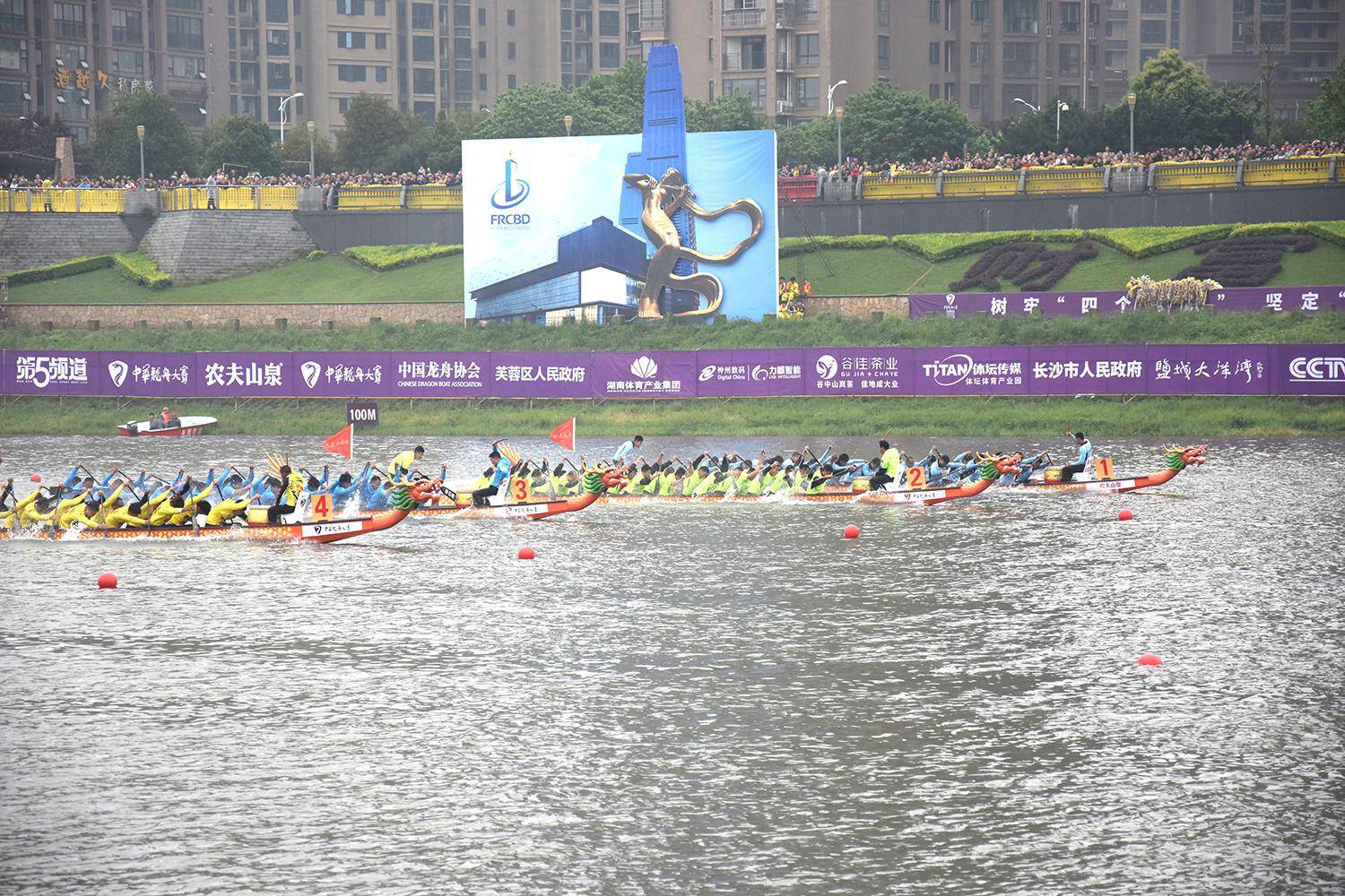 请登录查看高清图