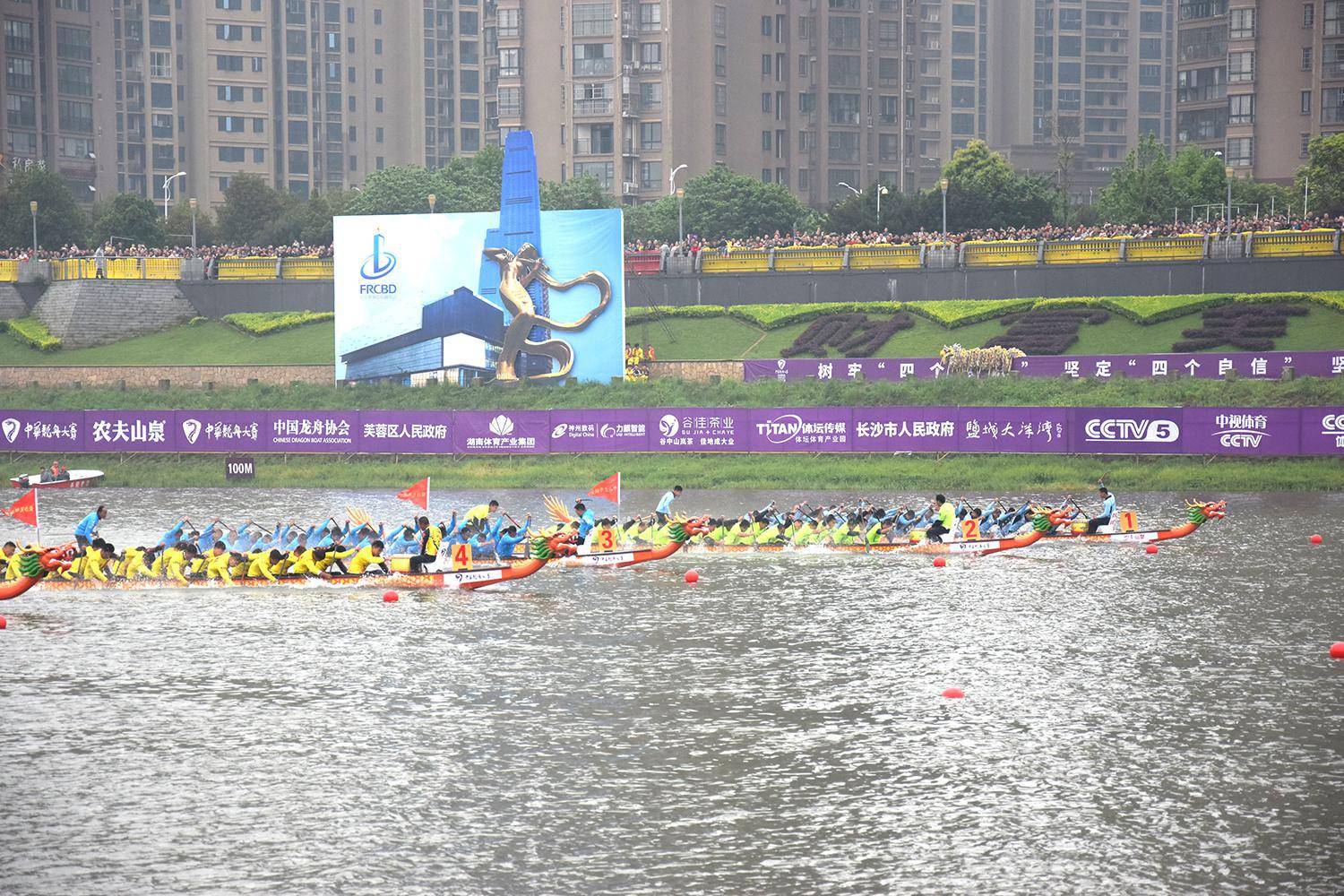 请登录查看高清图