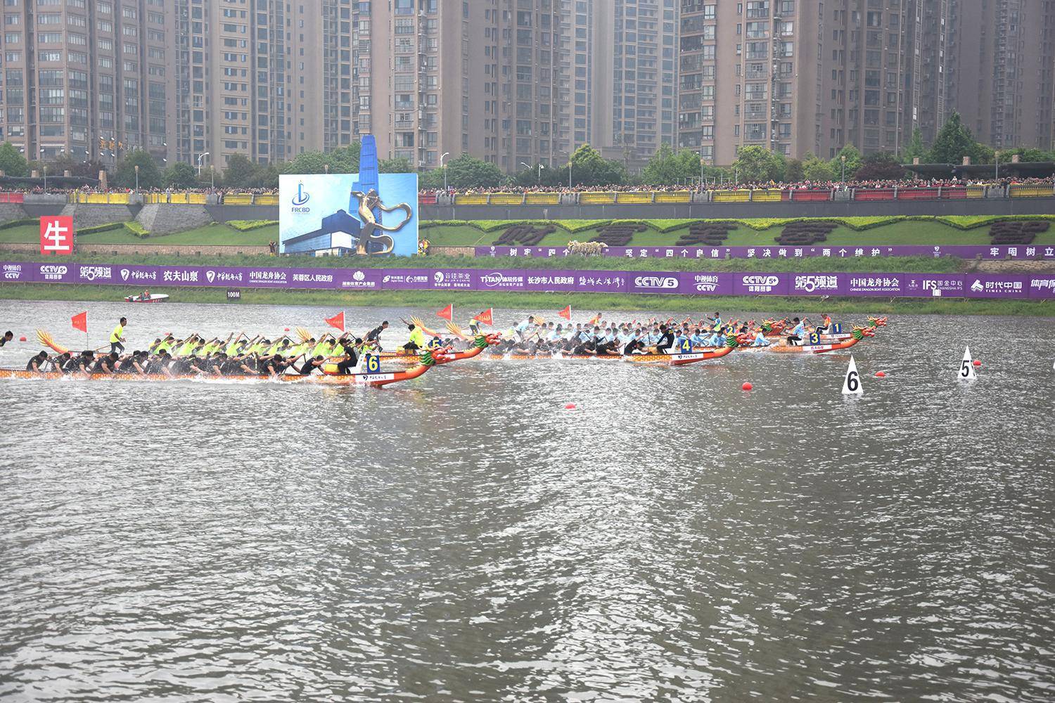 请登录查看高清图