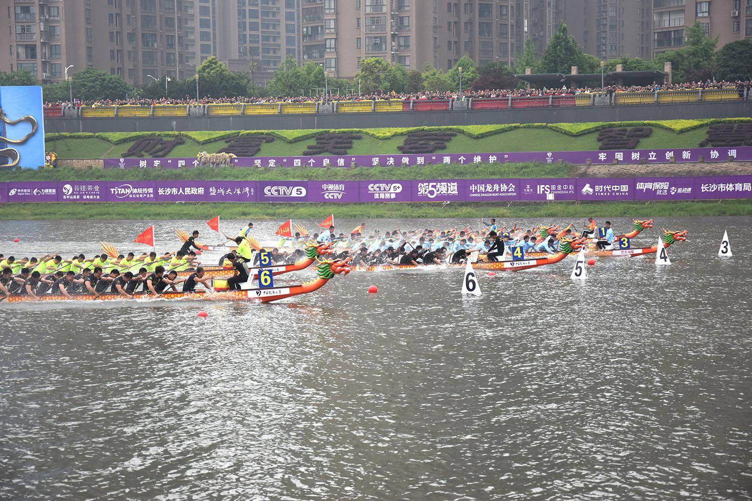 请登录查看高清图