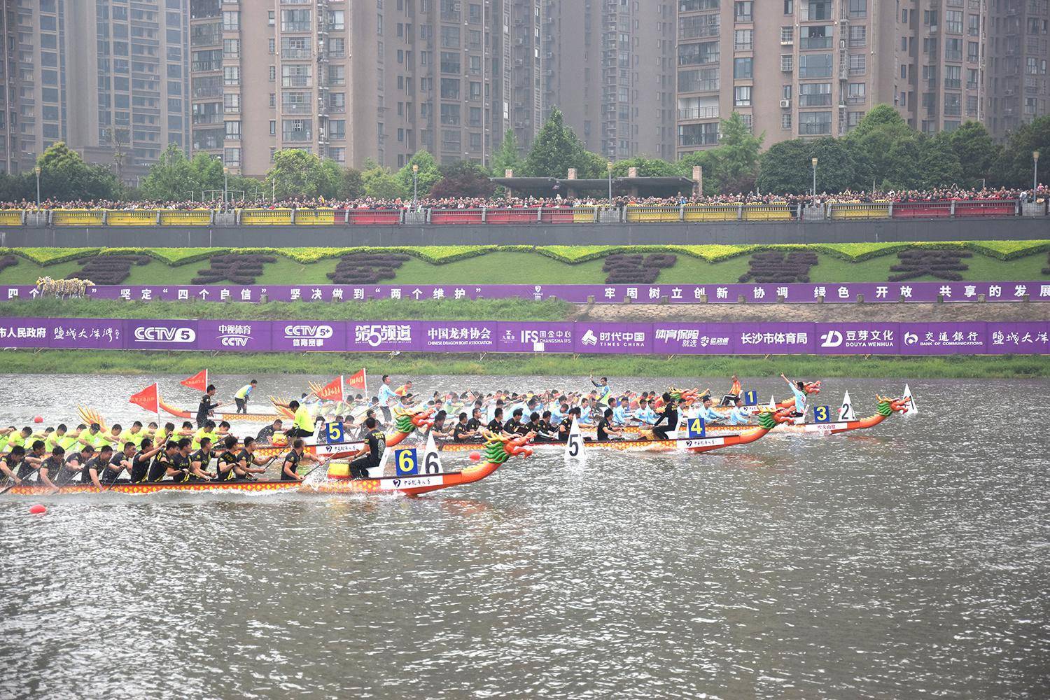 请登录查看高清图