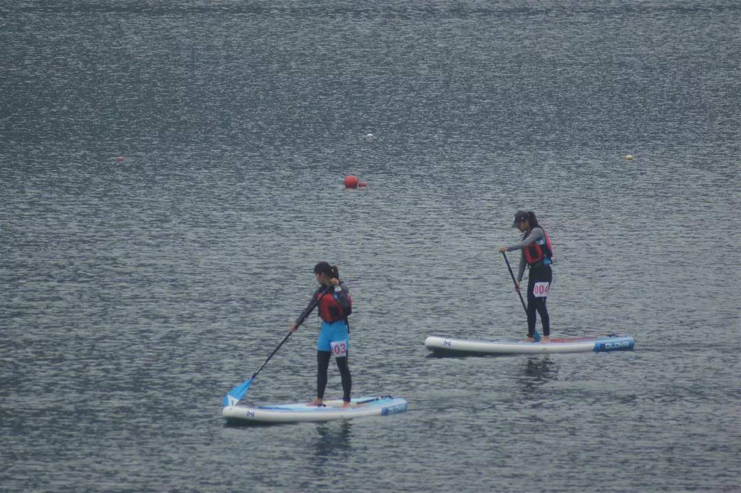 请登录查看高清图