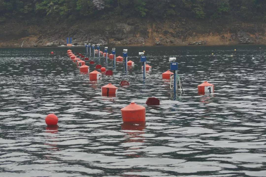 请登录查看高清图