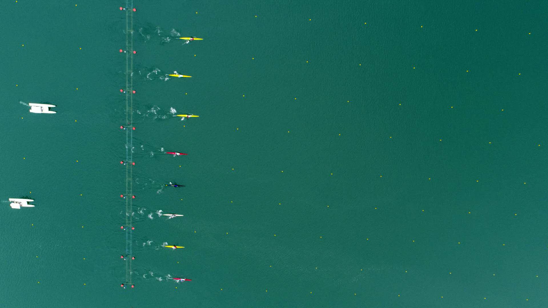 请登录查看高清图