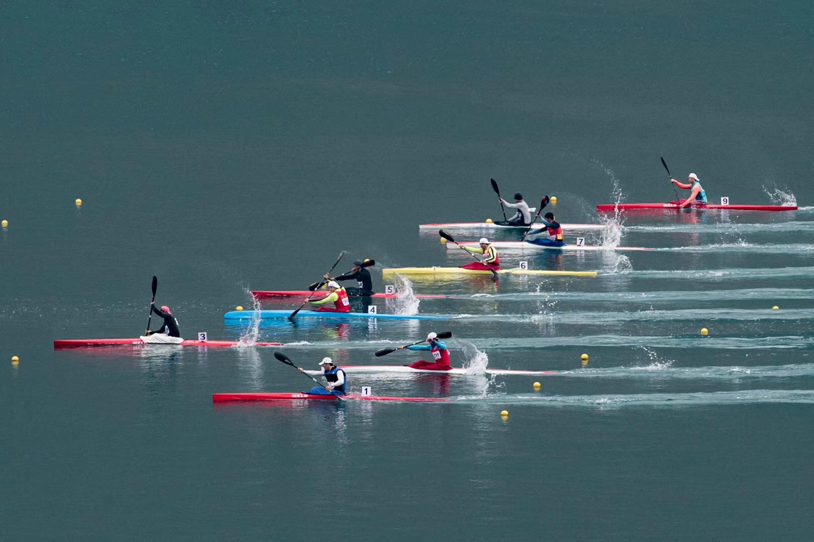 请登录查看高清图