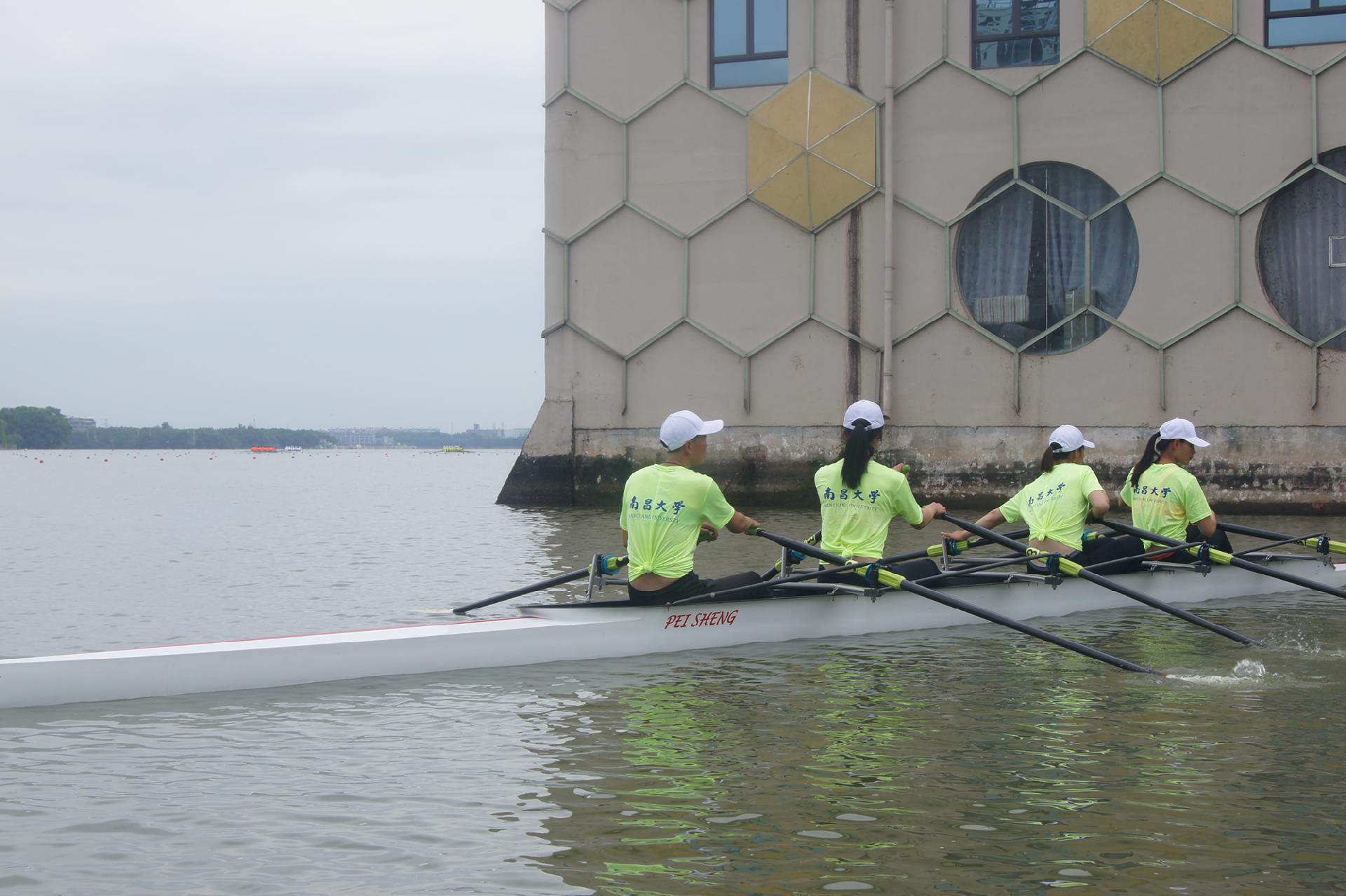 请登录查看高清图