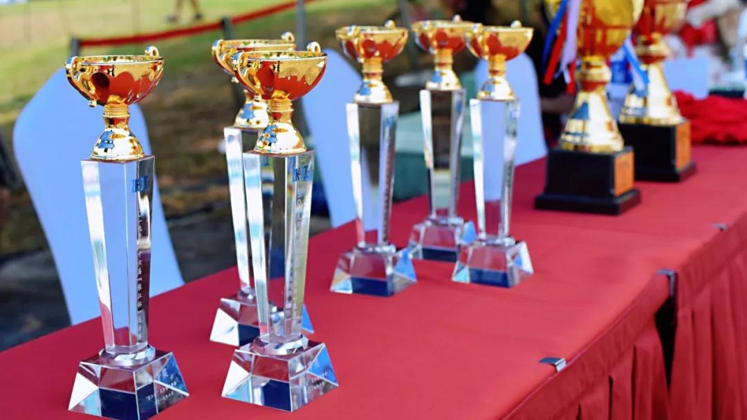 请登录查看高清图