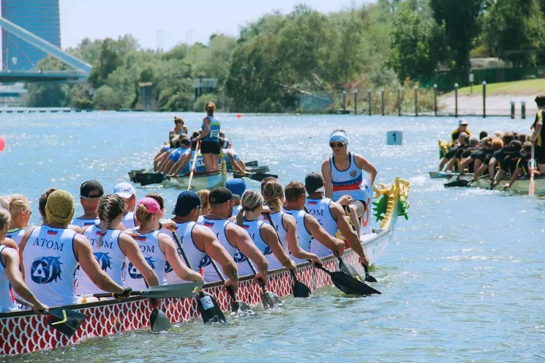 请登录查看高清图