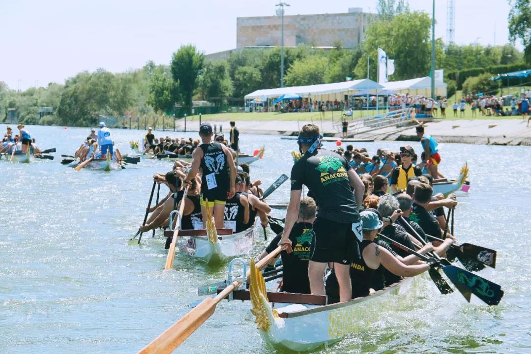 请登录查看高清图