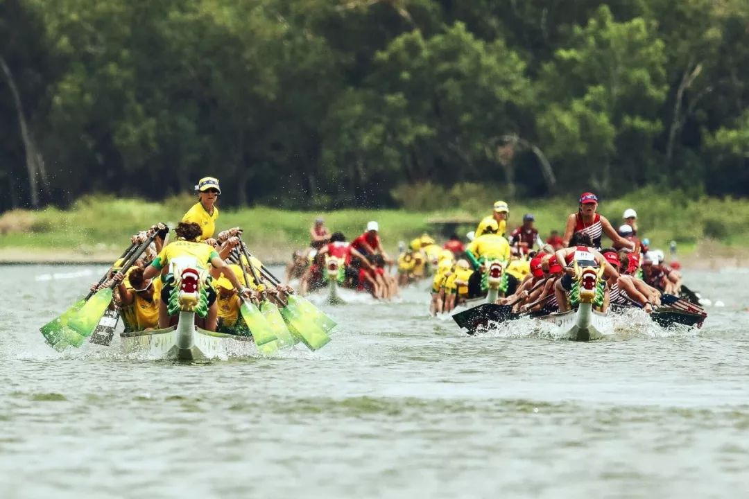 请登录查看高清图