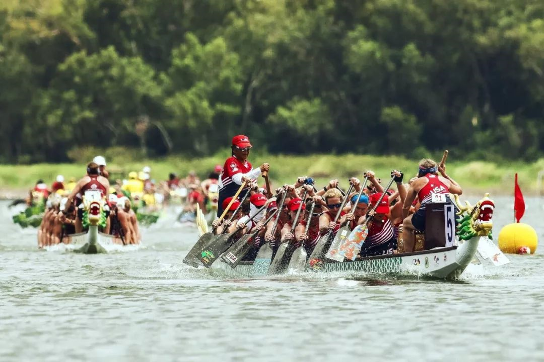 请登录查看高清图