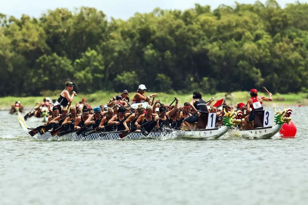 请登录查看高清图