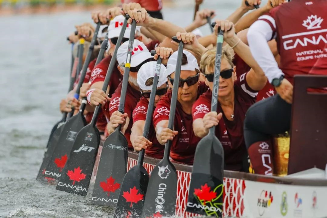 请登录查看高清图