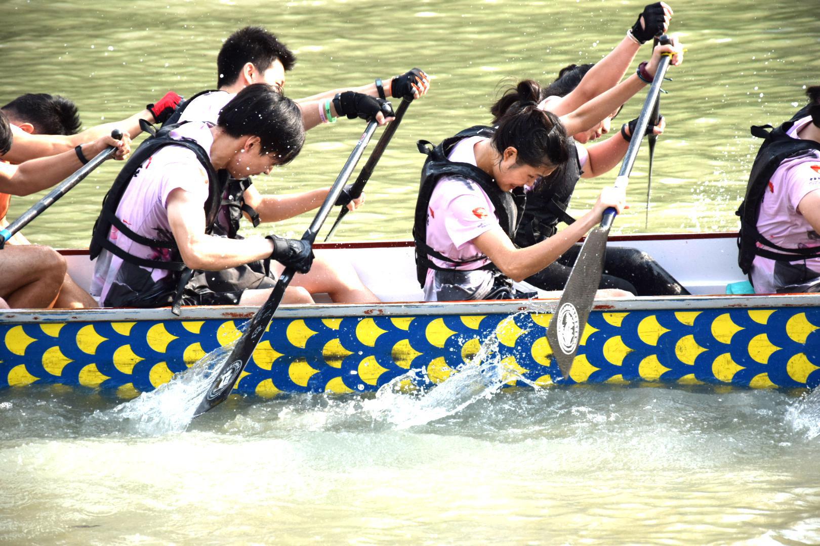 请登录查看高清图