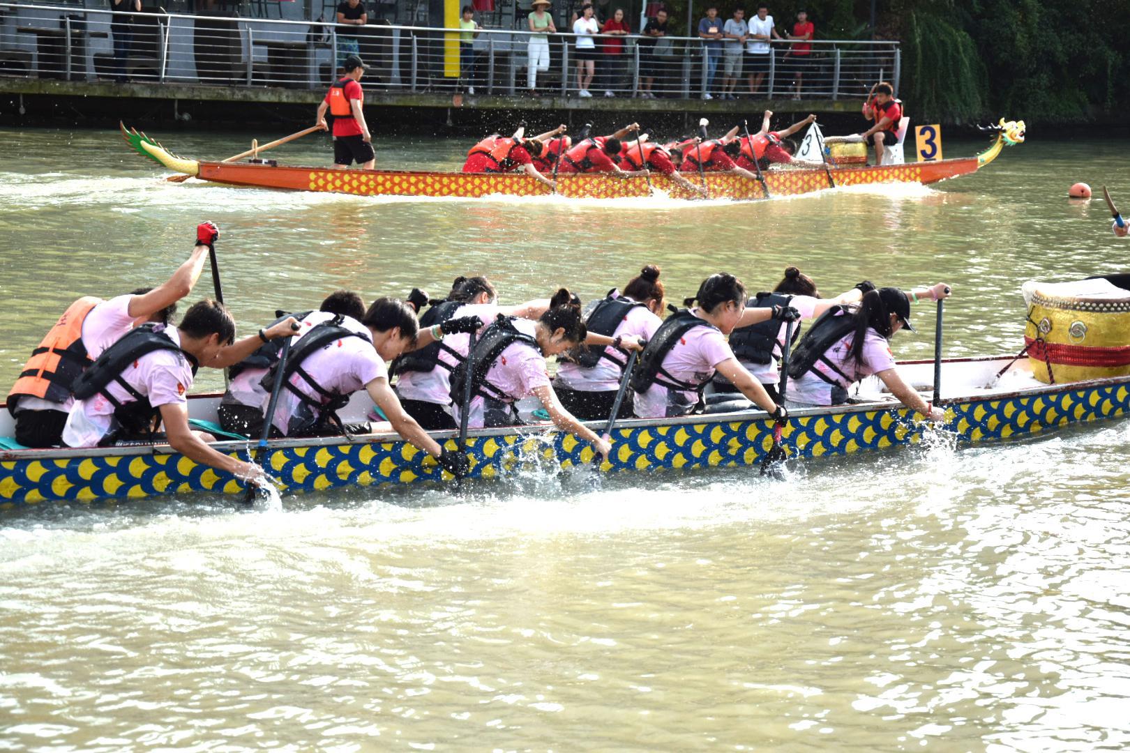 请登录查看高清图