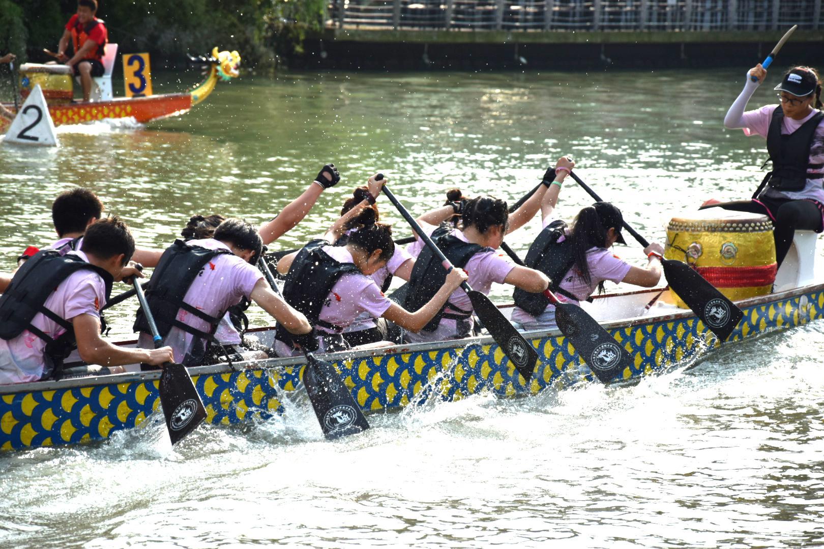 请登录查看高清图