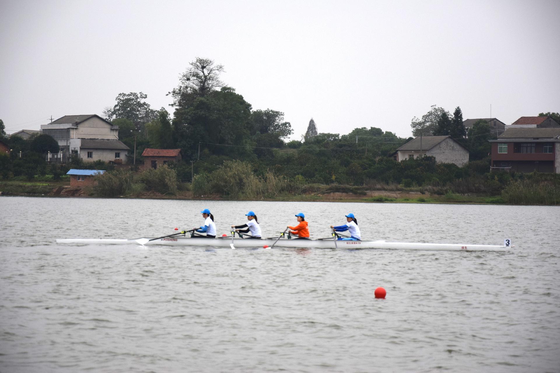 请登录查看高清图