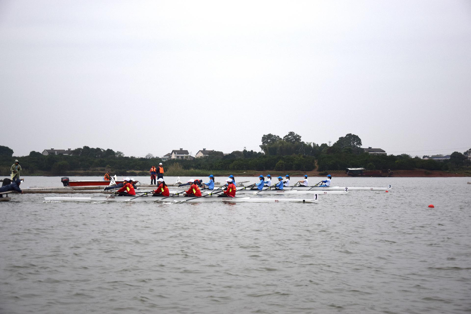 请登录查看高清图