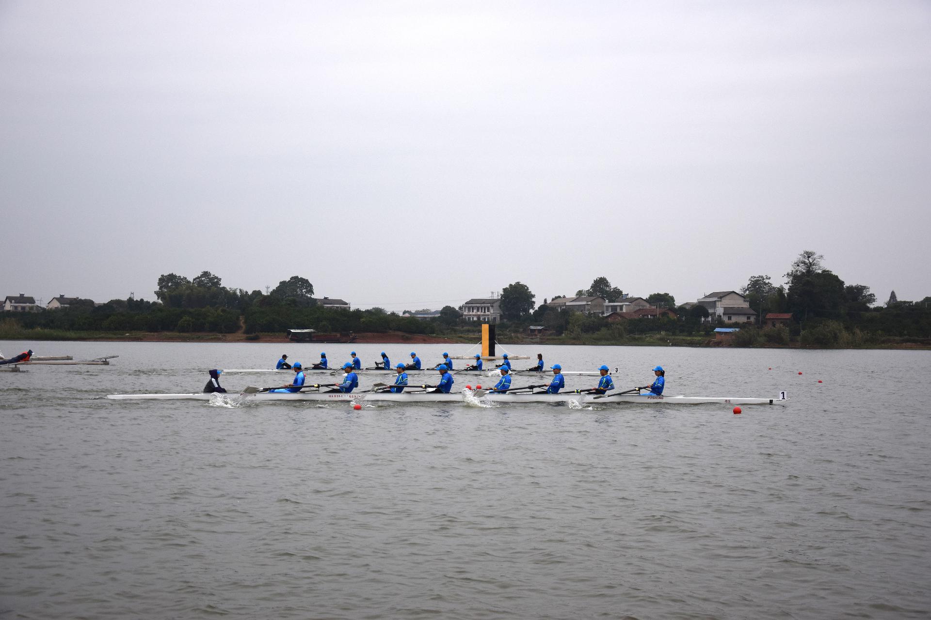 请登录查看高清图