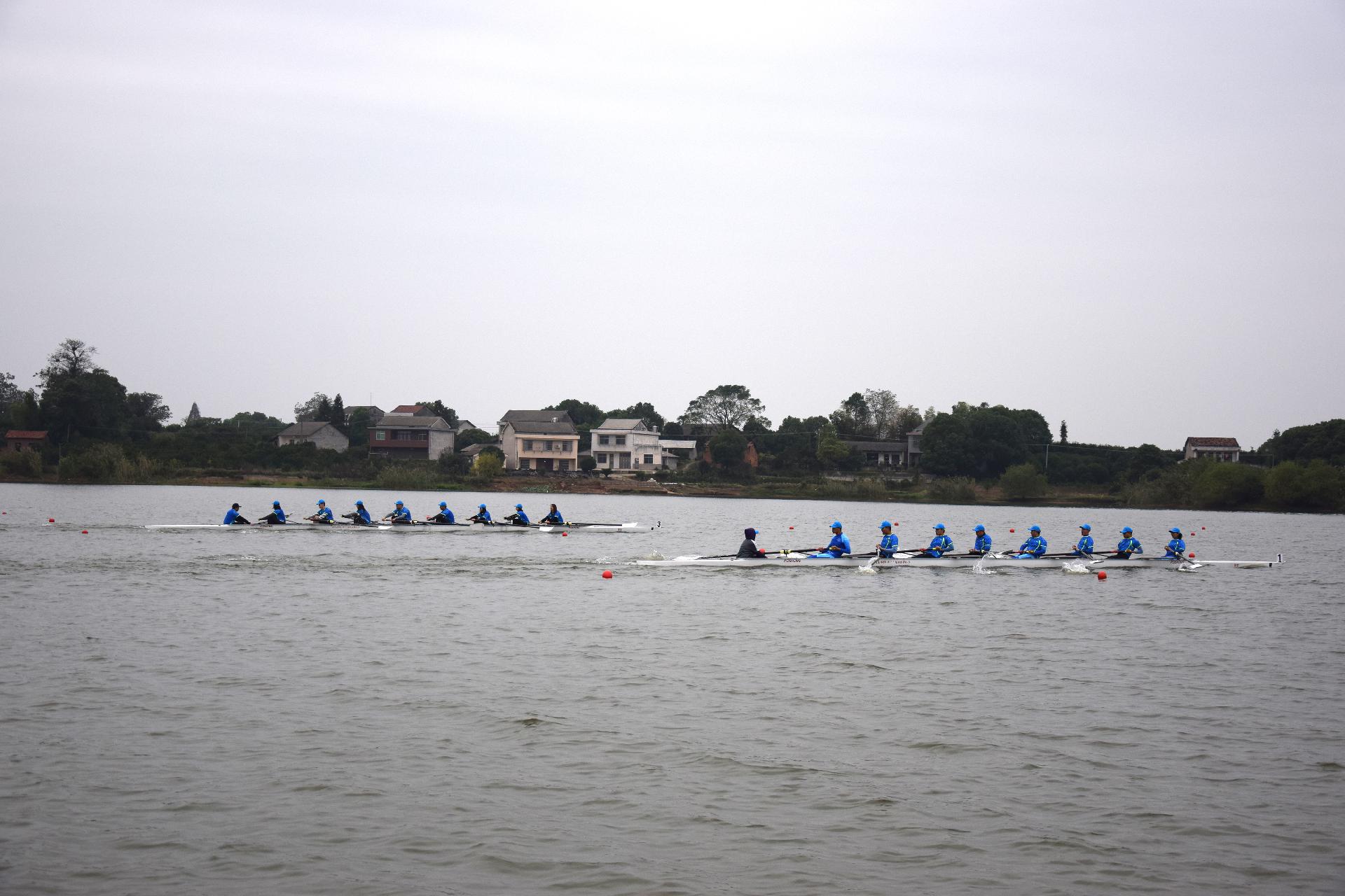 请登录查看高清图