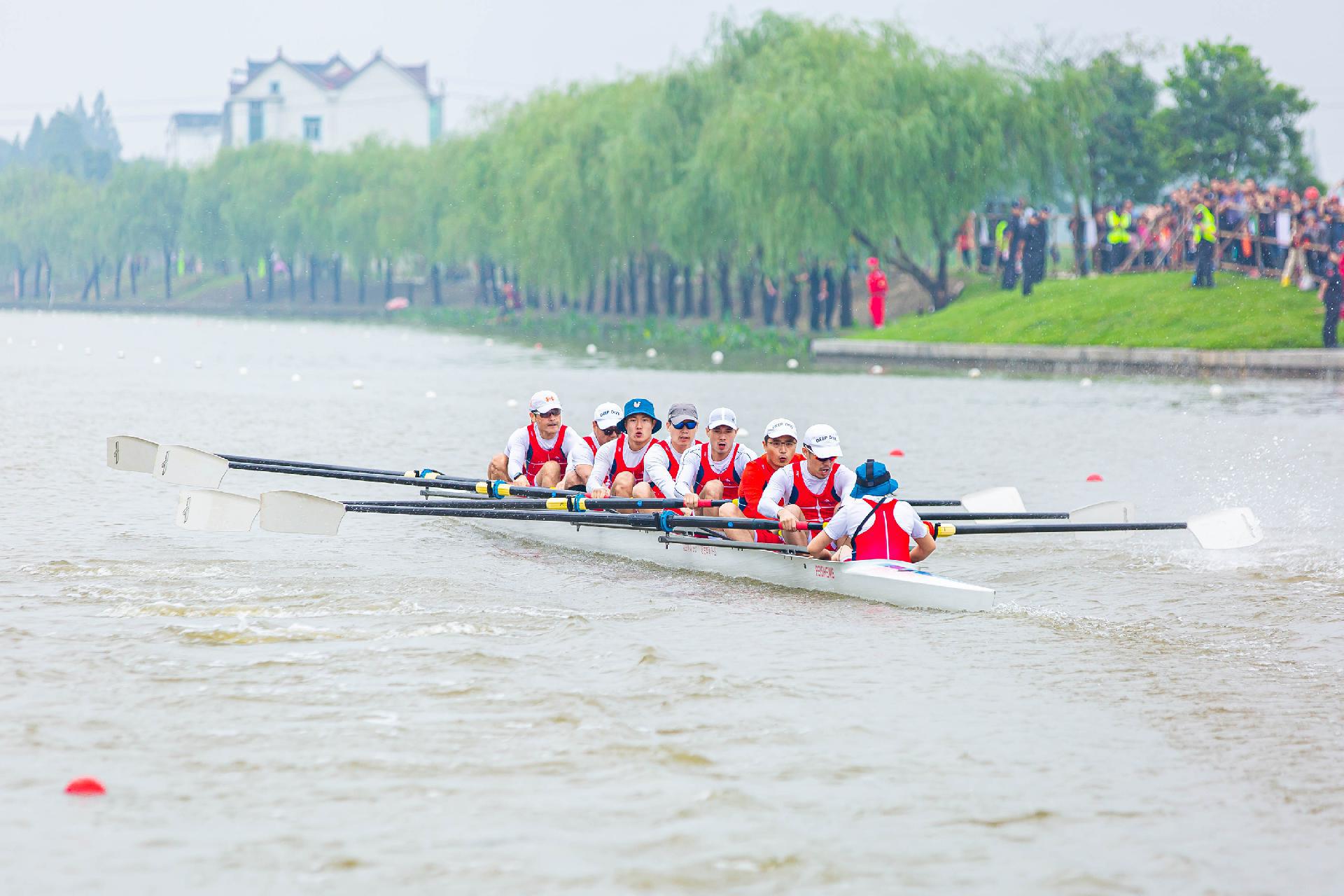 请登录查看高清图