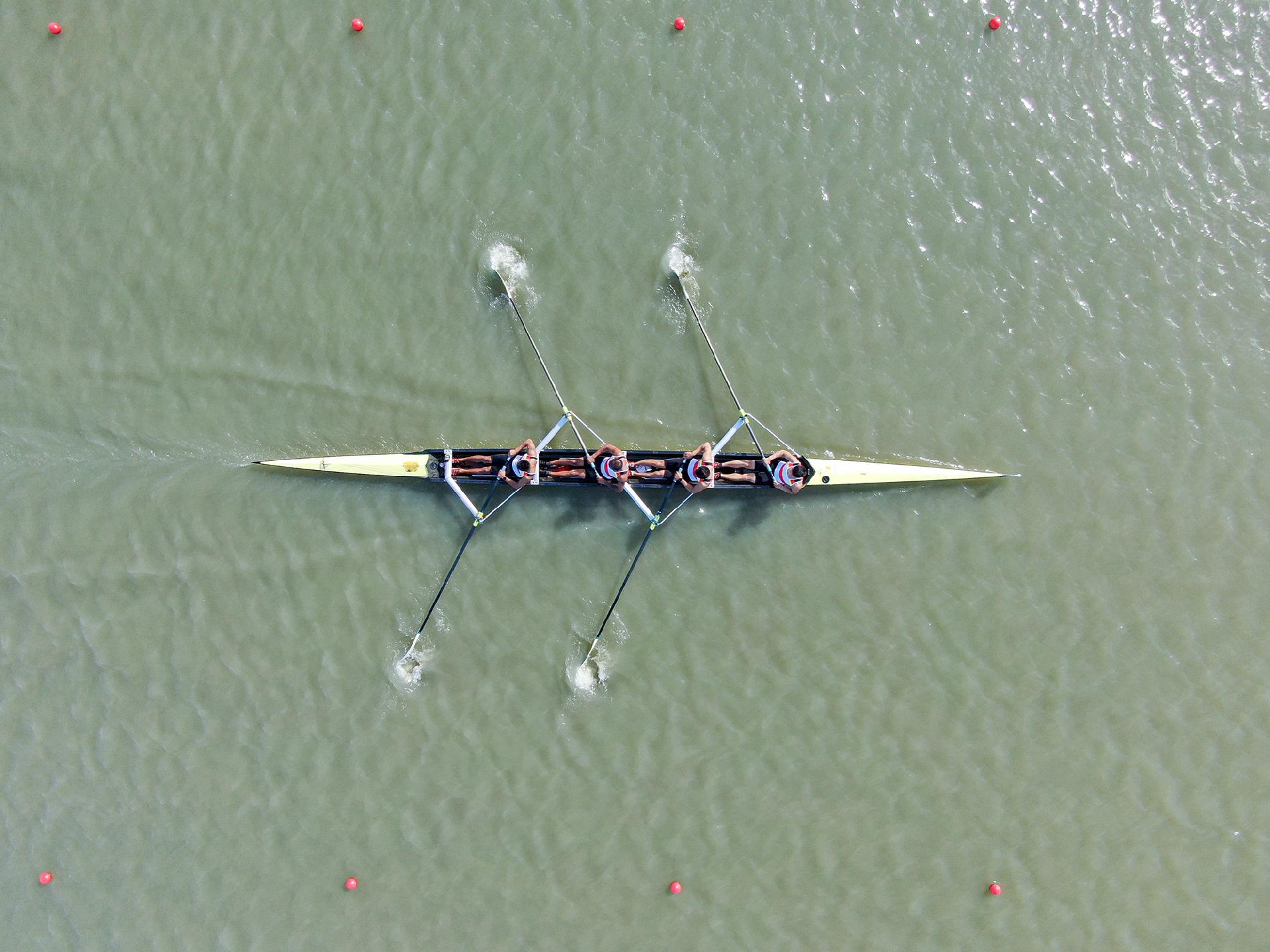 请登录查看高清图