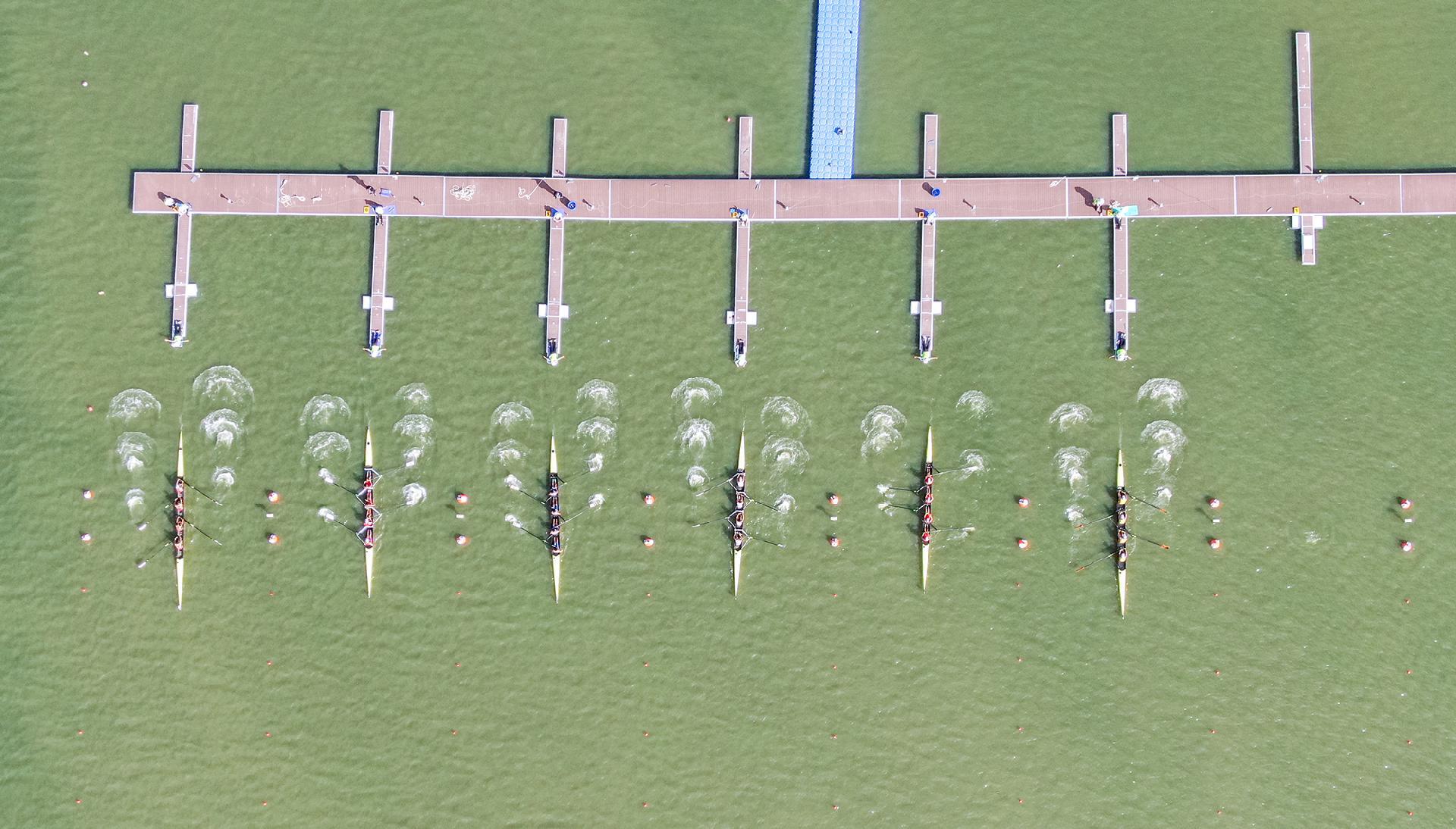 请登录查看高清图