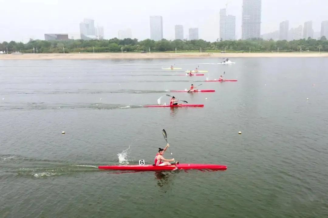 请登录查看高清图