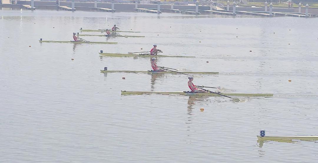 请登录查看高清图