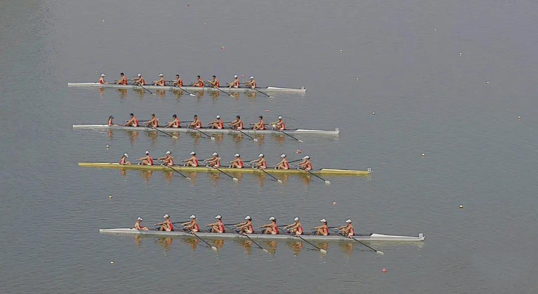 请登录查看高清图