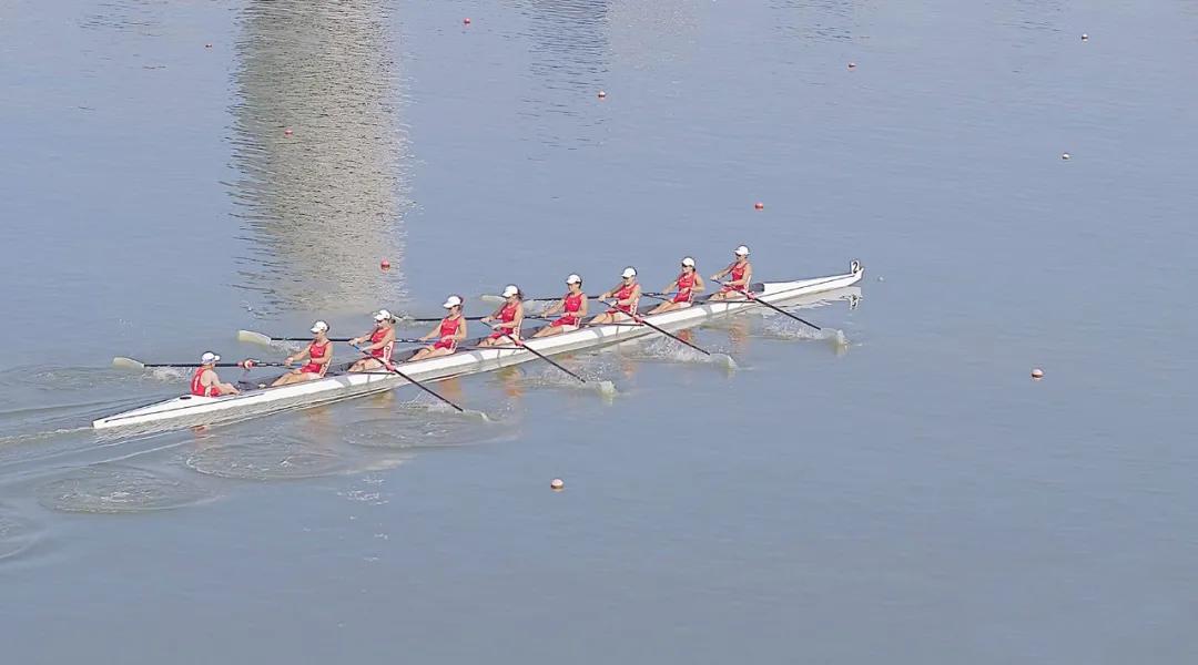 请登录查看高清图