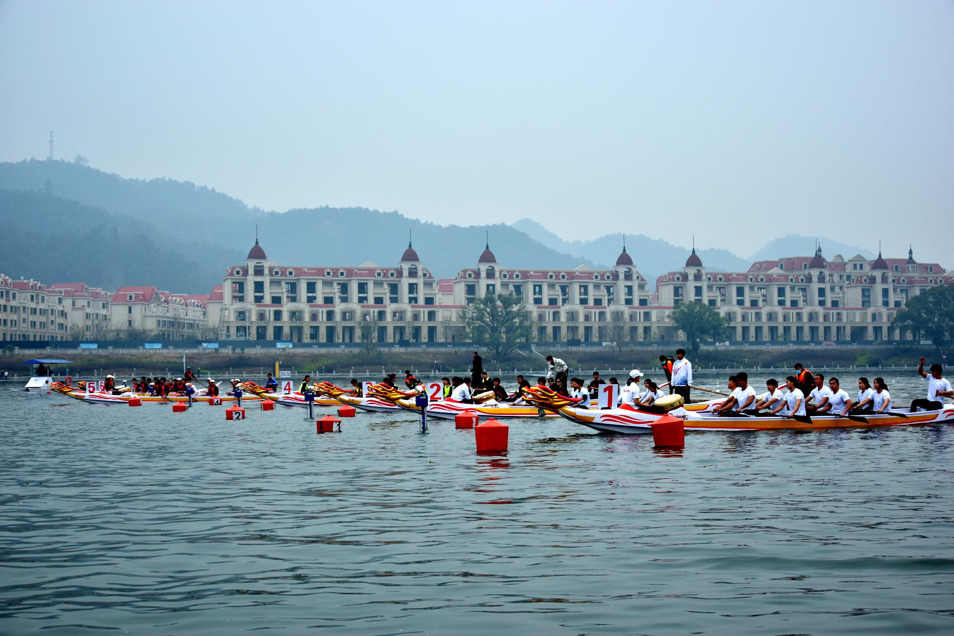 请登录查看高清图