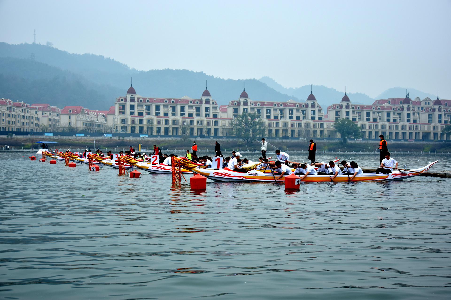 请登录查看高清图