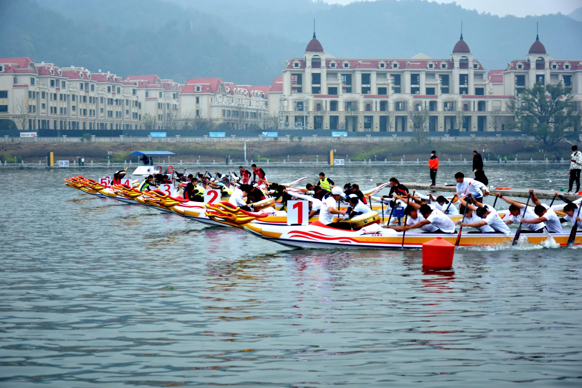 请登录查看高清图