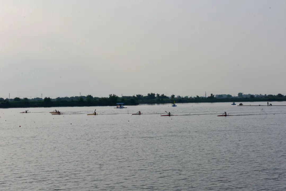 请登录查看高清图