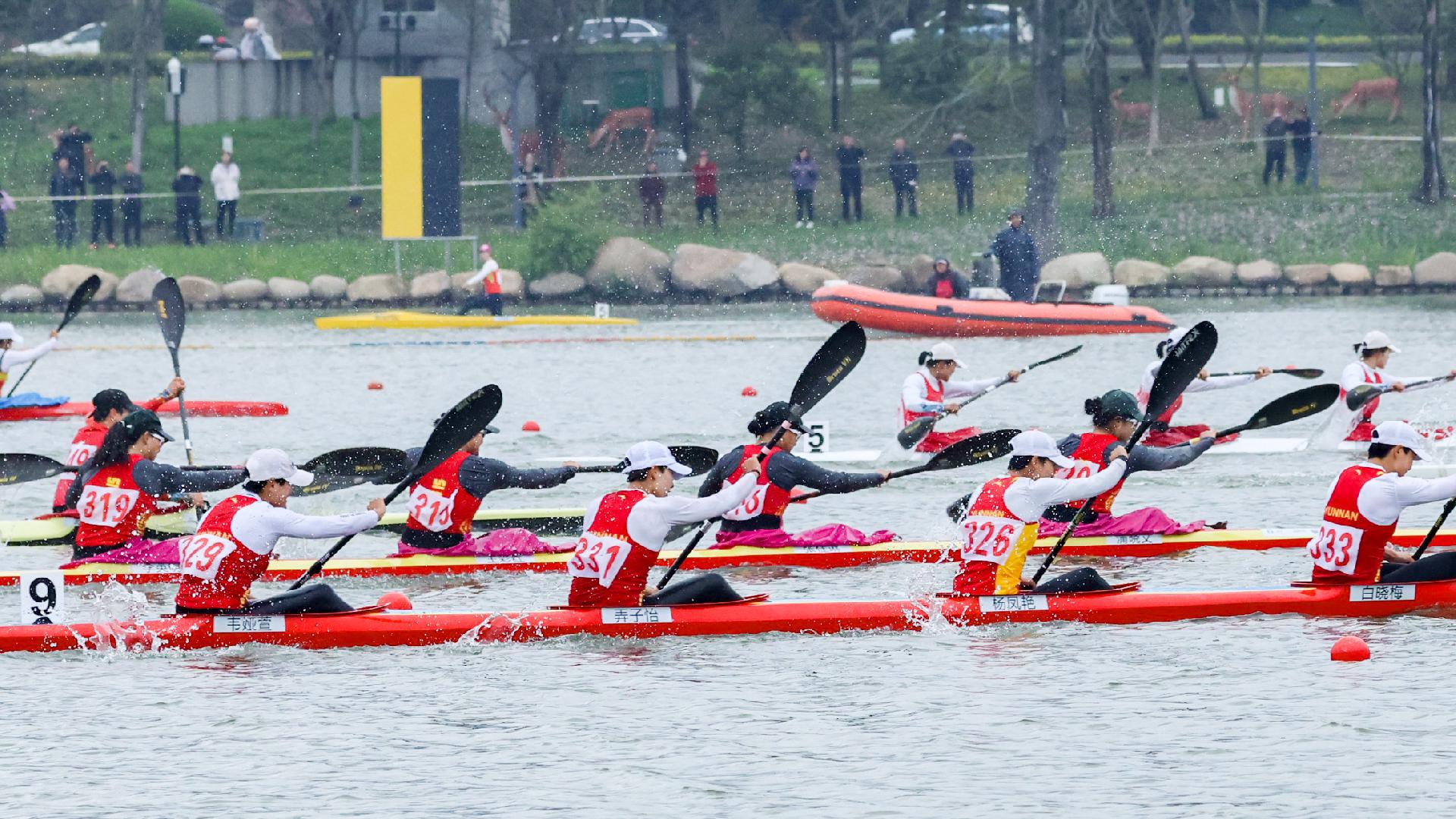 请登录查看高清图