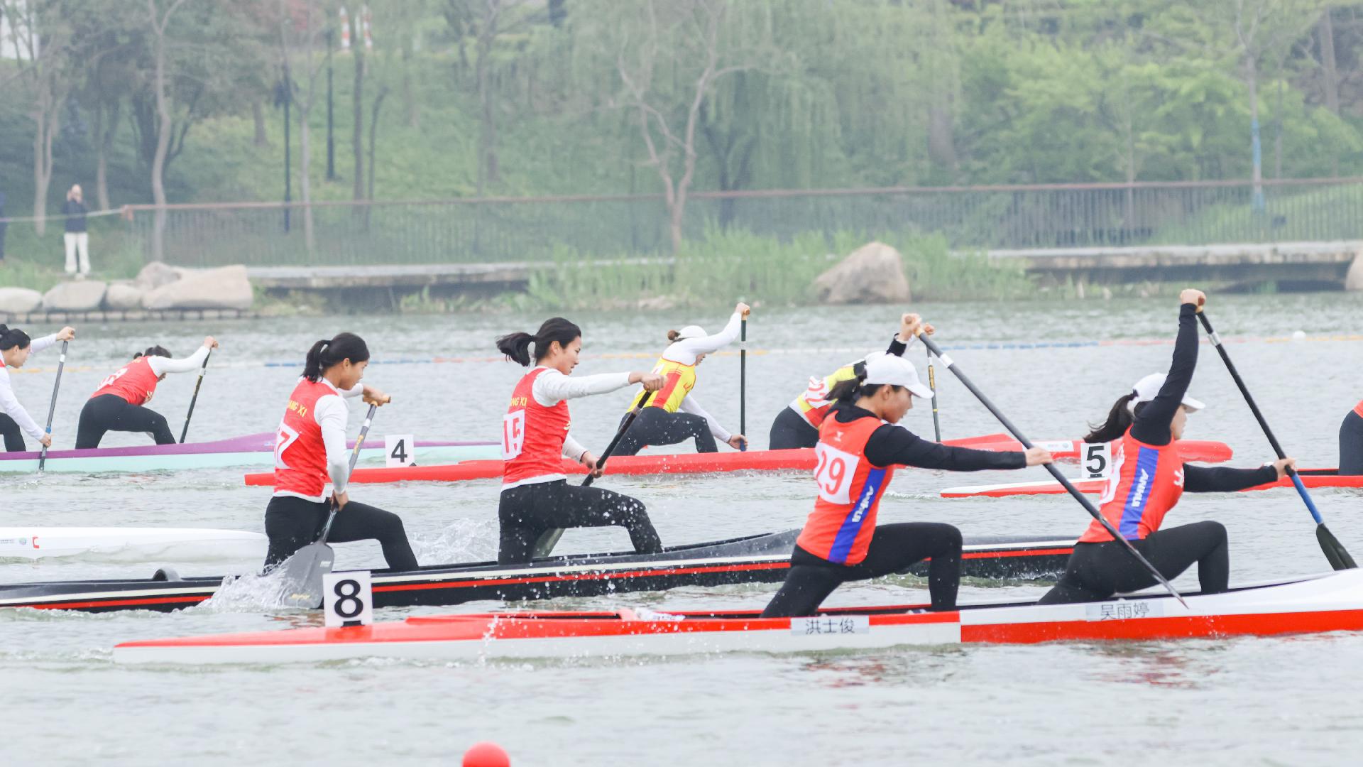 请登录查看高清图