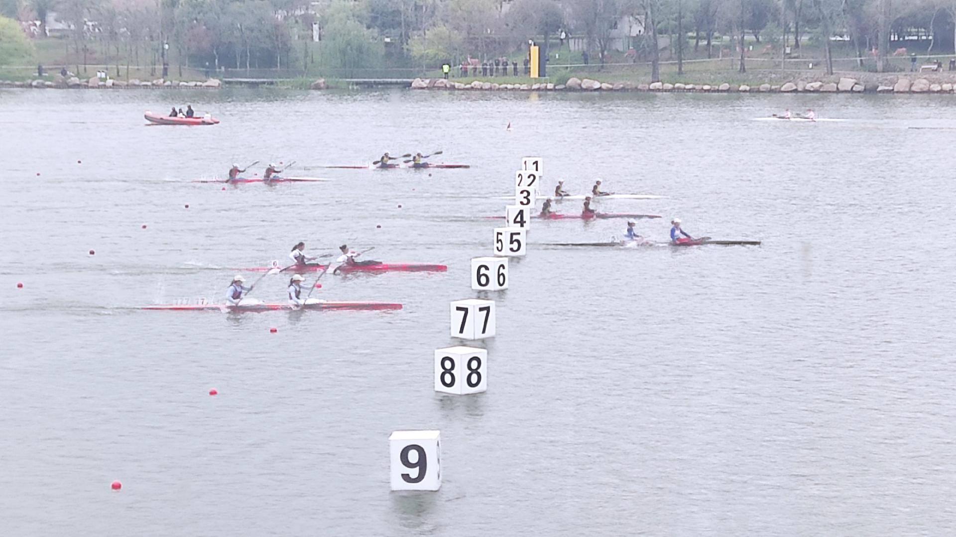 请登录查看高清图