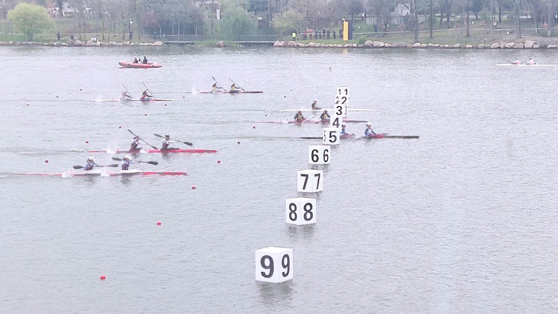 请登录查看高清图