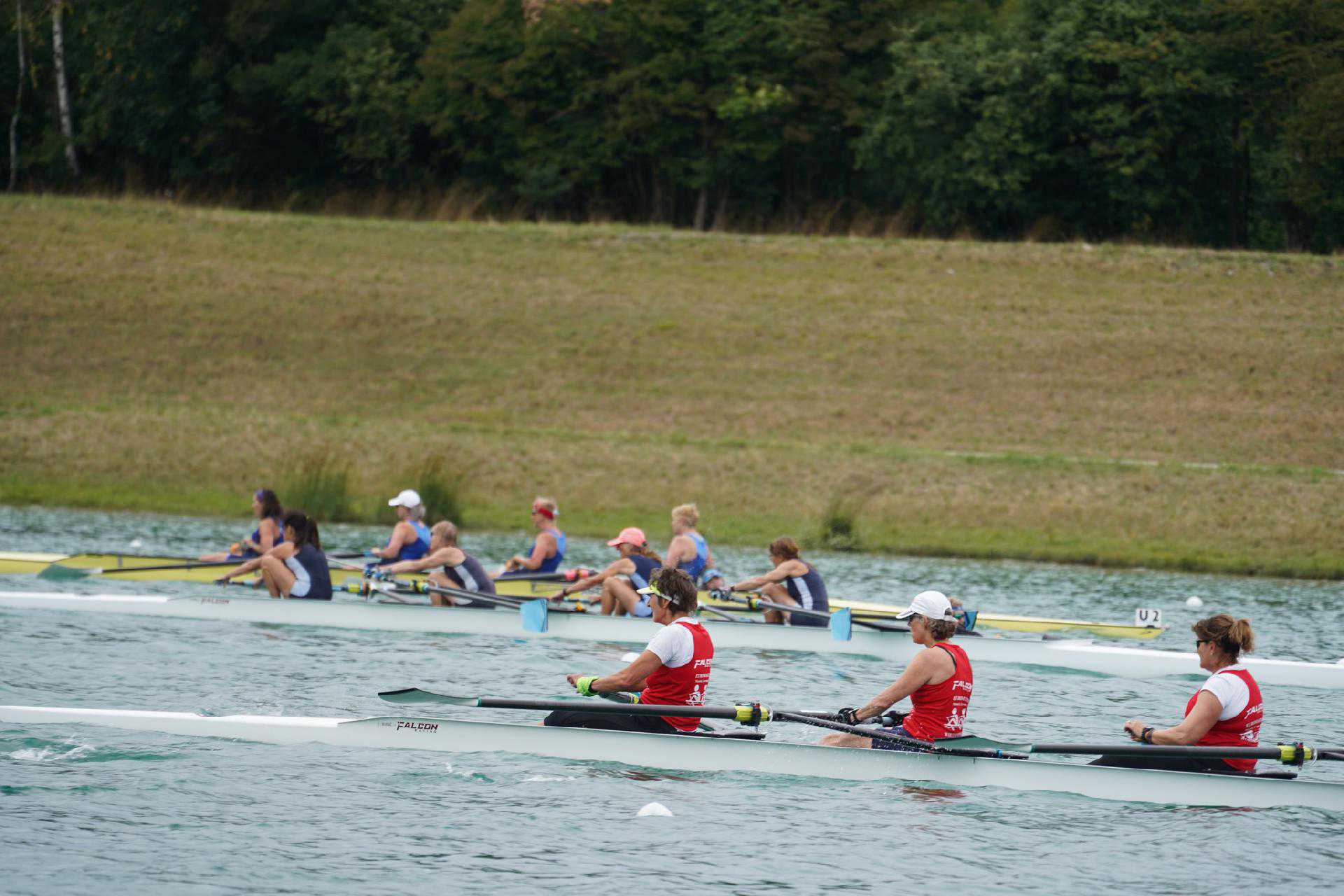 请登录查看高清图