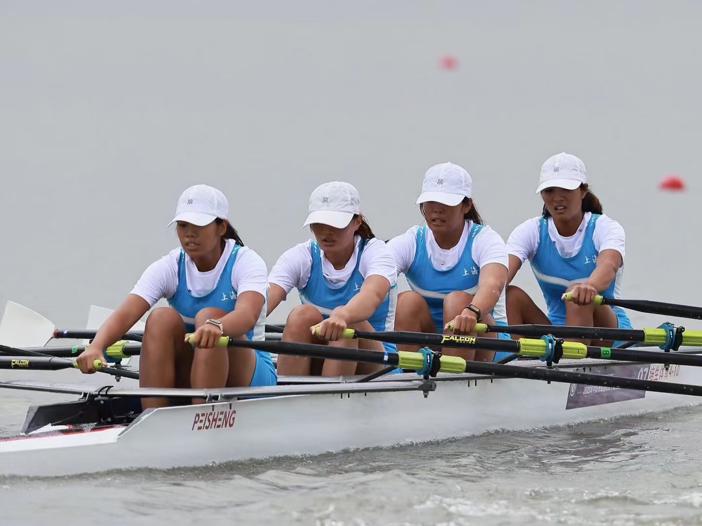 请登录查看高清图