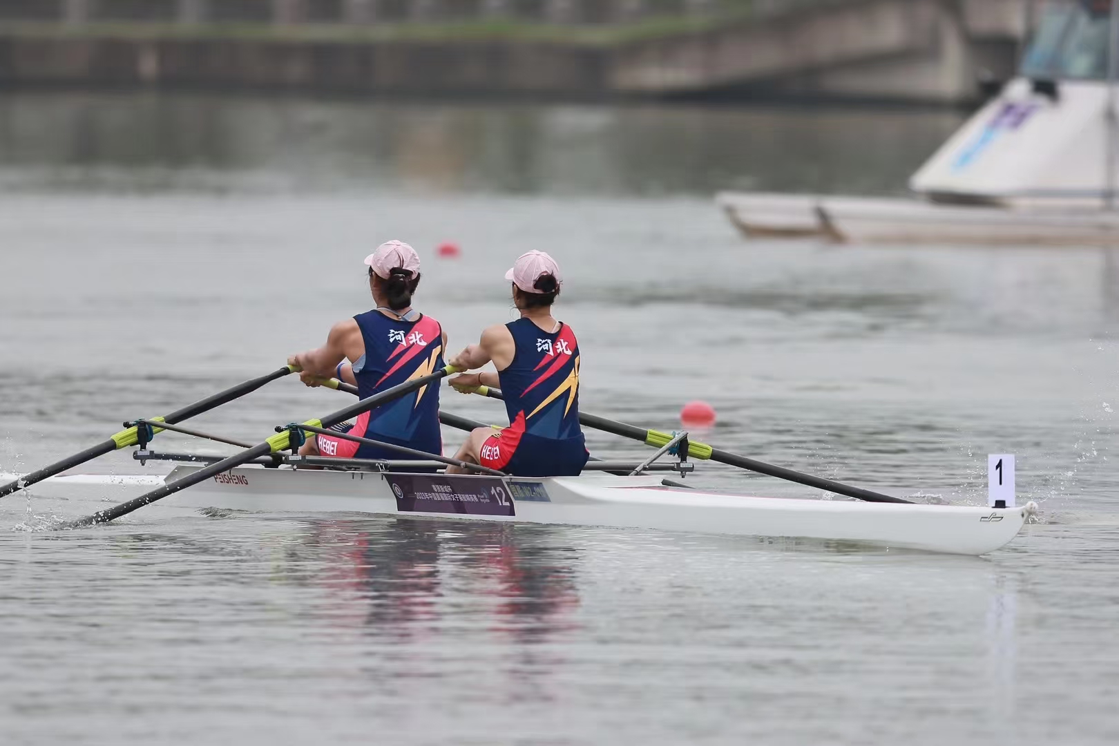 请登录查看高清图