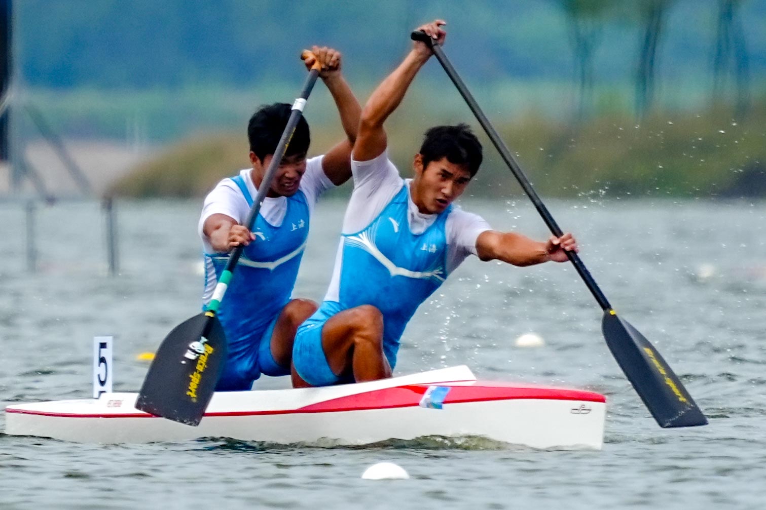 请登录查看高清图