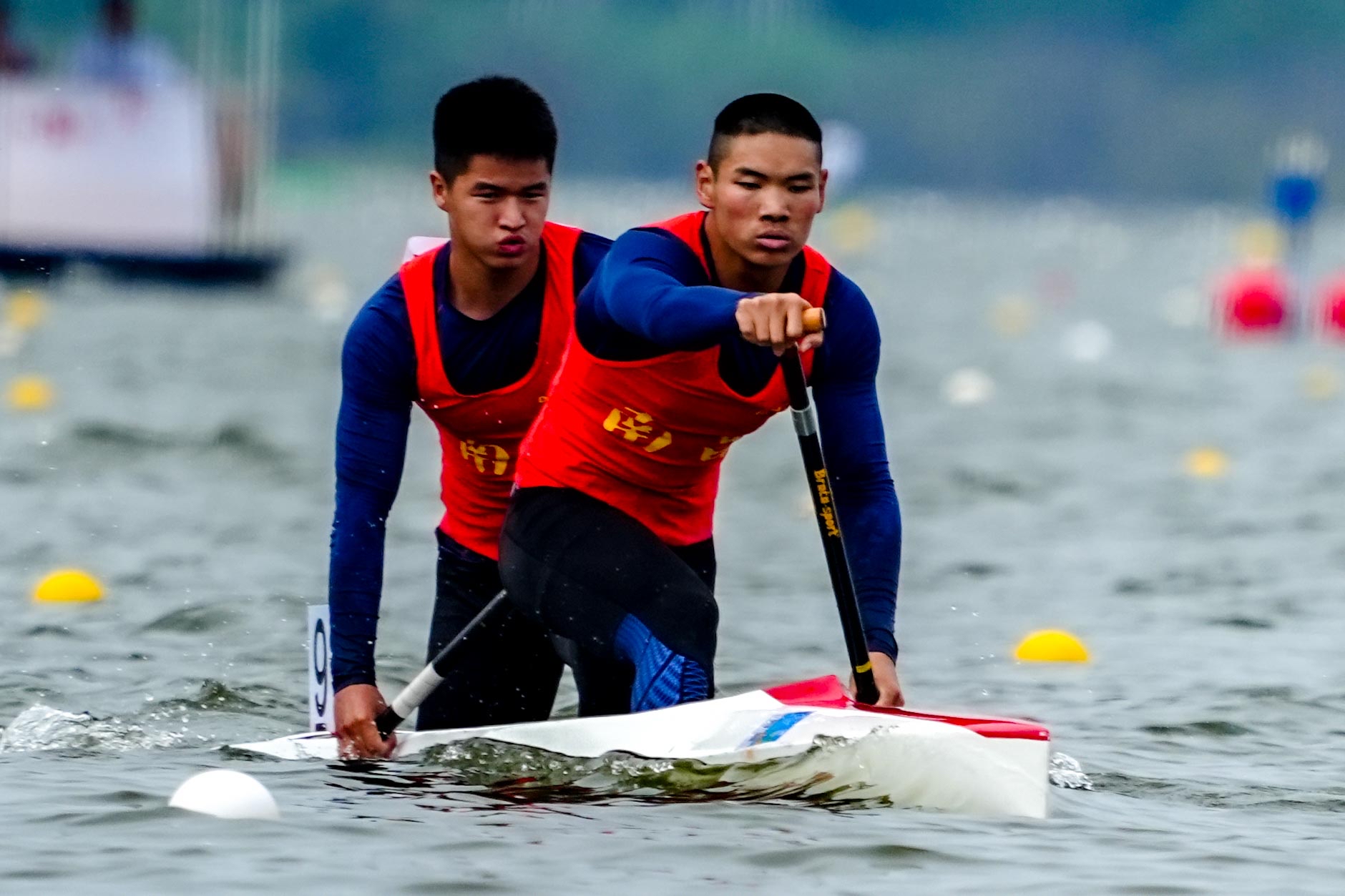 请登录查看高清图