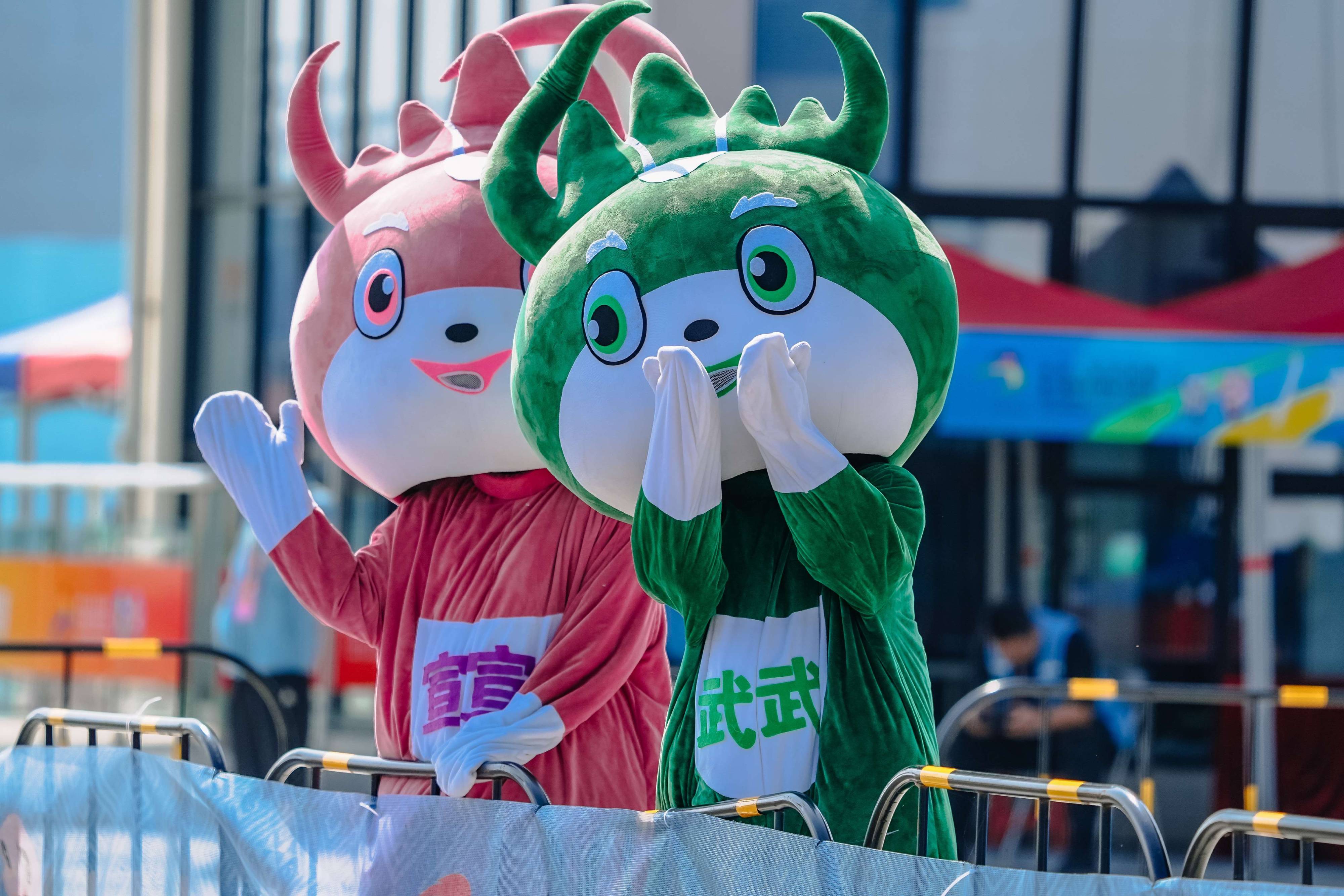 请登录查看高清图