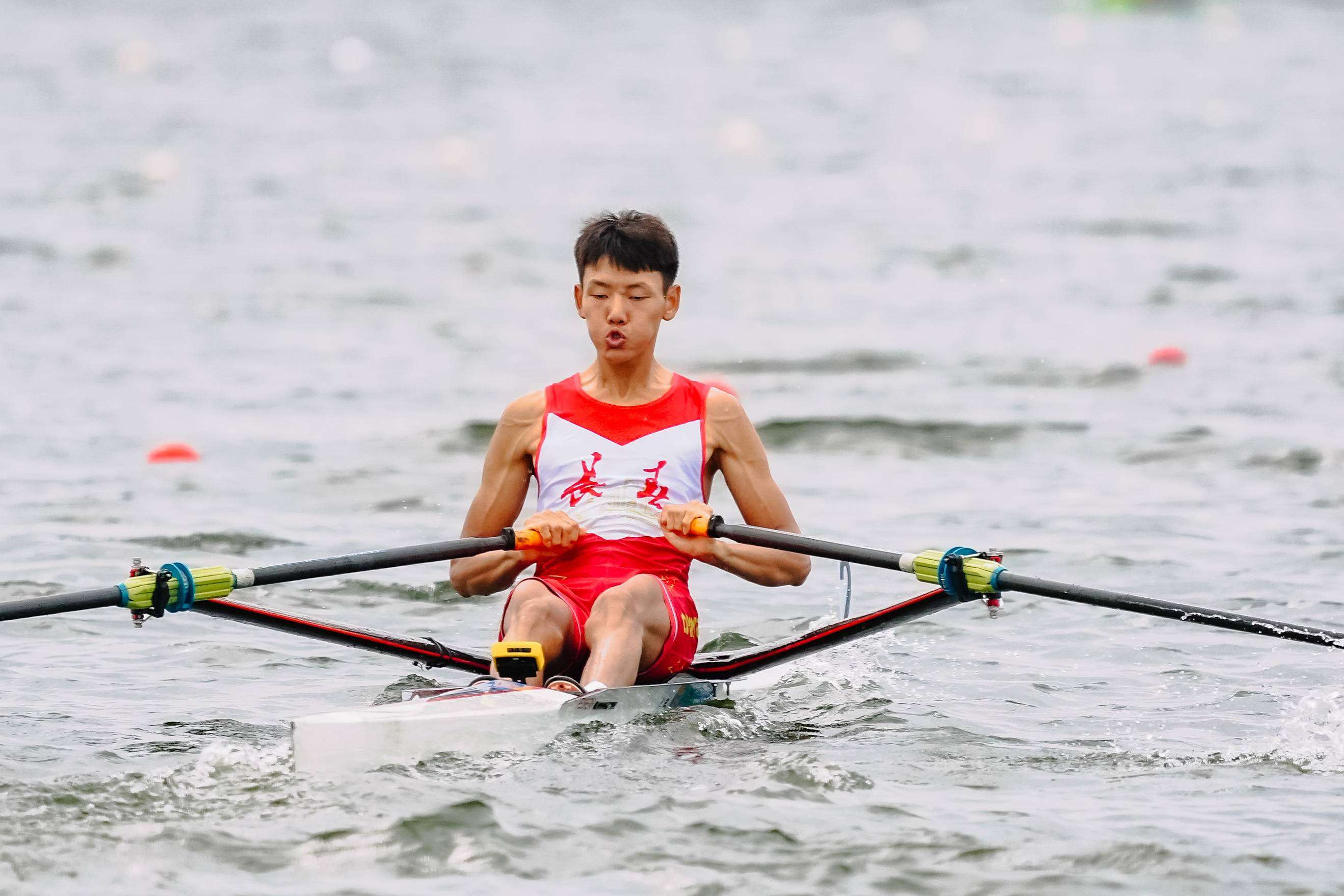 请登录查看高清图