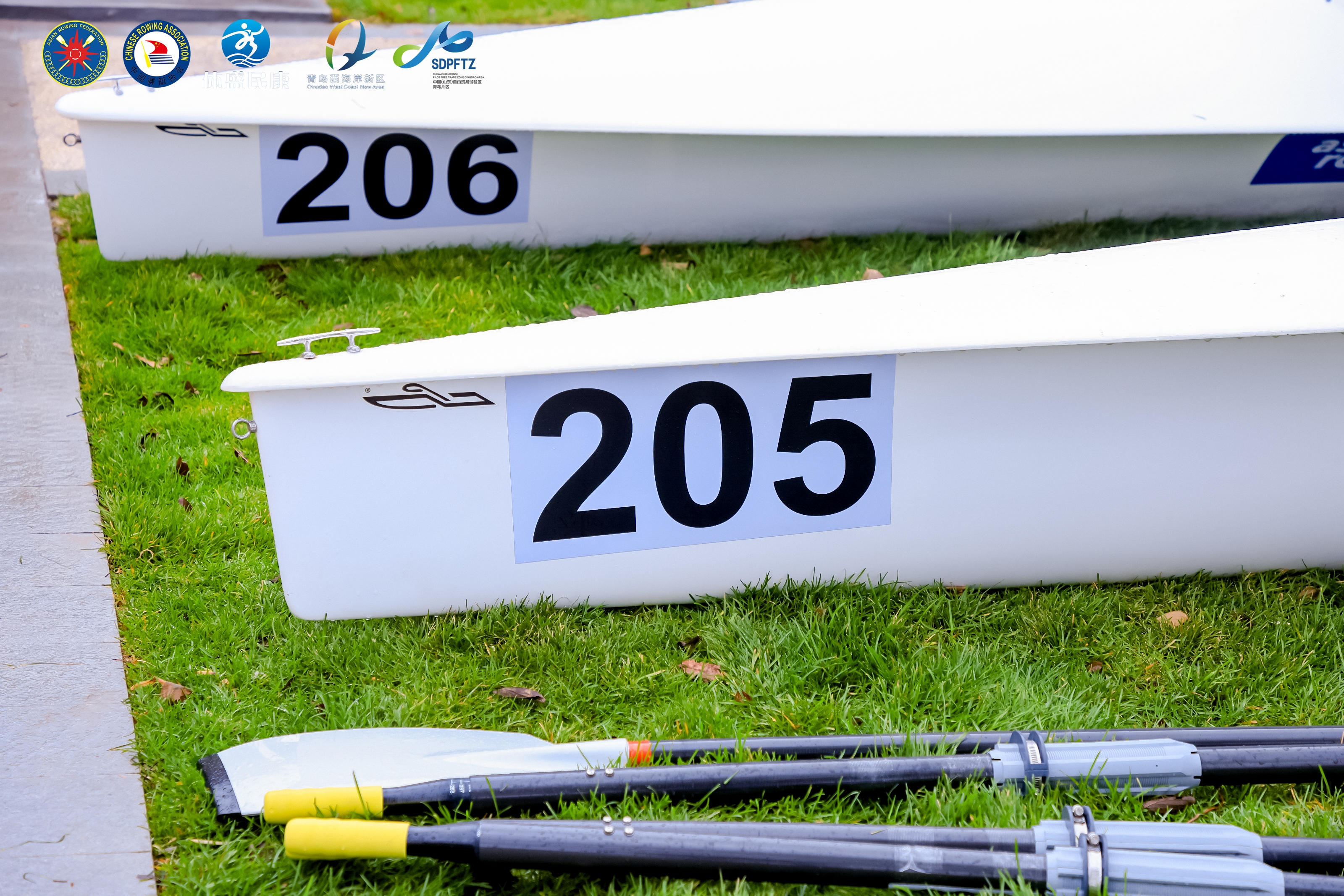 请登录查看高清图