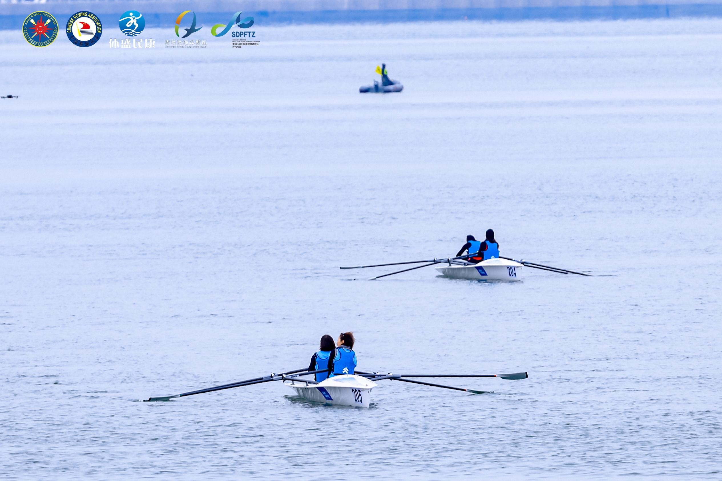 请登录查看高清图