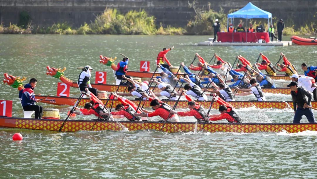 请登录查看高清图