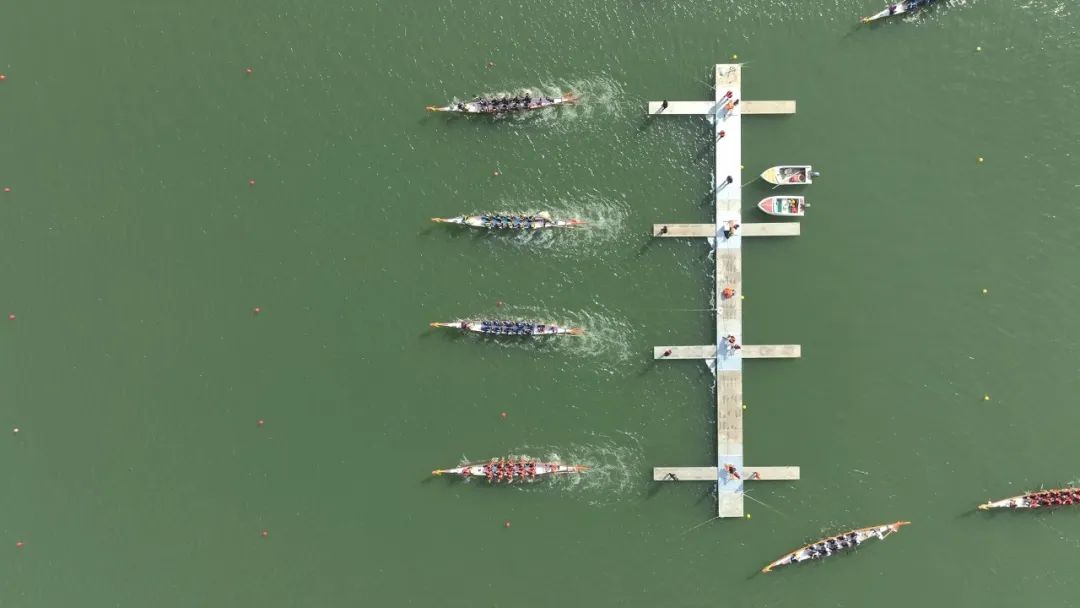 请登录查看高清图